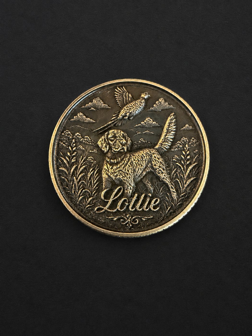 Lottie coin